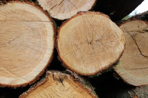 Read more about the article Brennholzsorten und deren Heizwerte